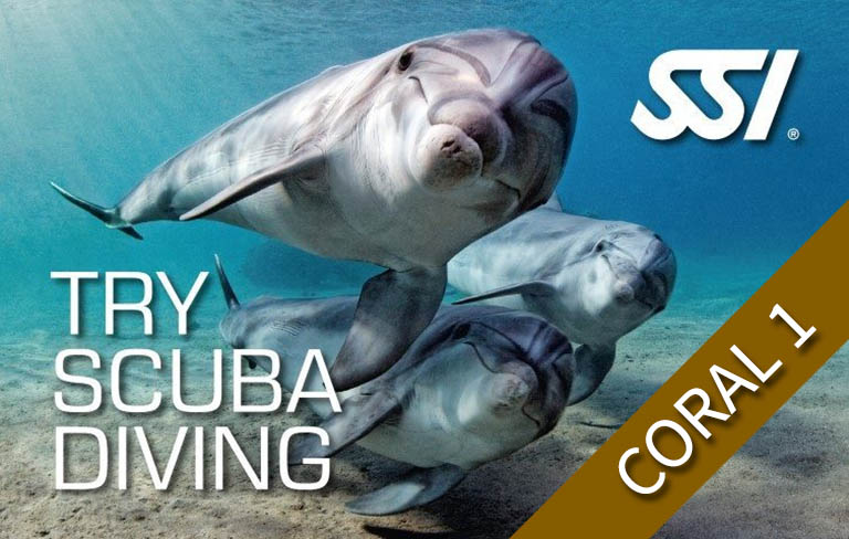 TRY DIVE - Try Scuba-Diving - Deluxe (1 boat dive Coral Island)