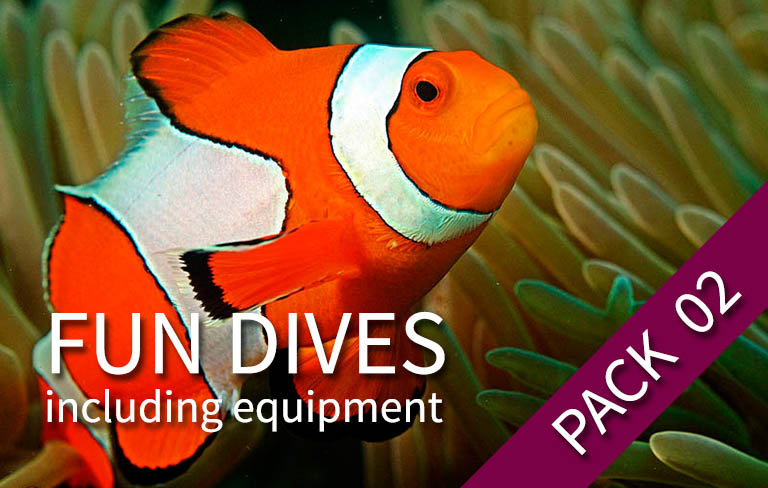 FUN DIVE - Pack 2 fun dives