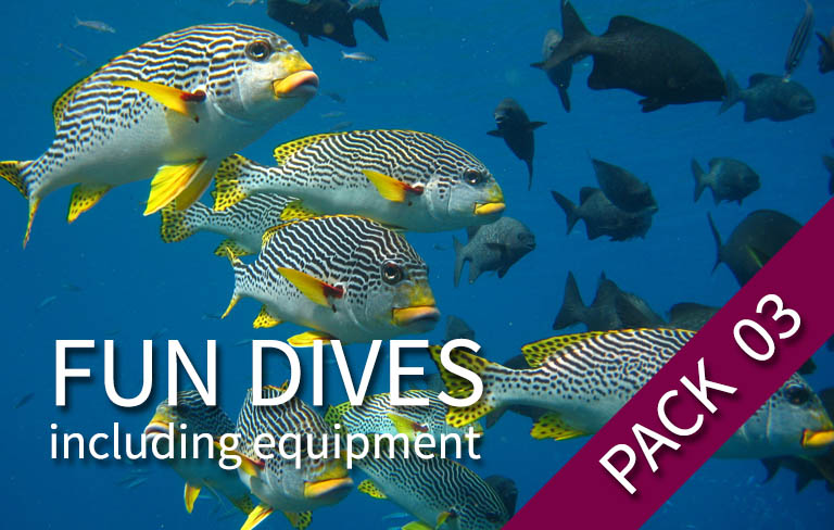 FUN DIVE - Pack 3 fun dives