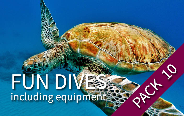 FUN DIVE - Pack 10 plongées