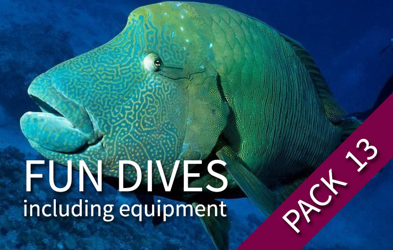 FUN DIVE - Pack 13 plongées