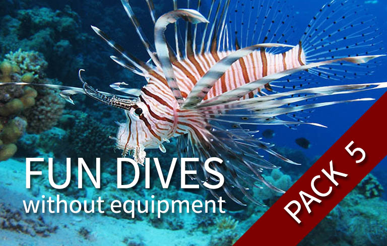 FUN DIVE-WE - 5 fun dives (with your own equipment)