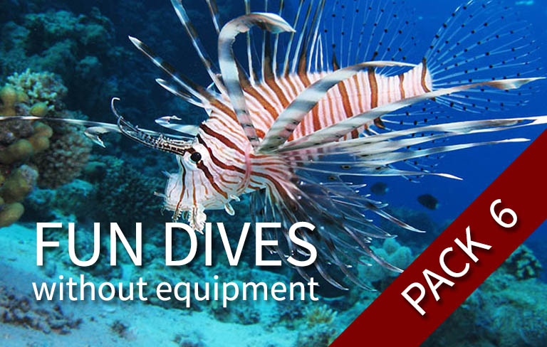 FUN DIVE-WE - 6 fun dives (with your own equipment)