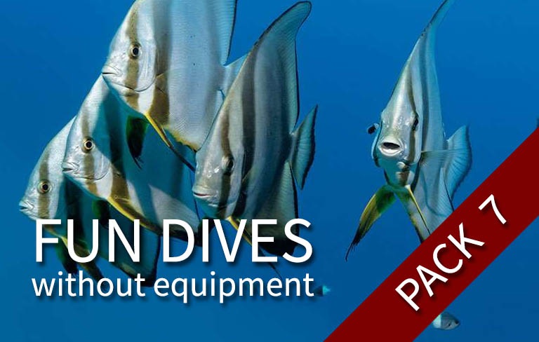 FUN DIVE-WE - 7 fun dives (with your own equipment)