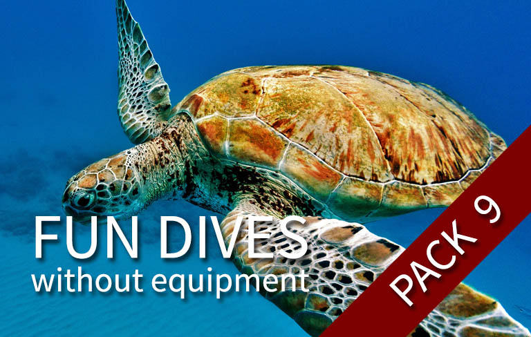 FUN DIVE-WE - 9 fun dives (with your own equipment)