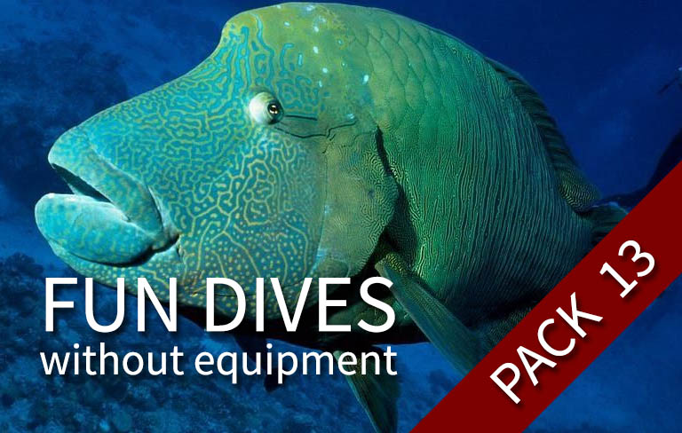 FUN DIVE-WE - 13 fun dives (with your own equipment)