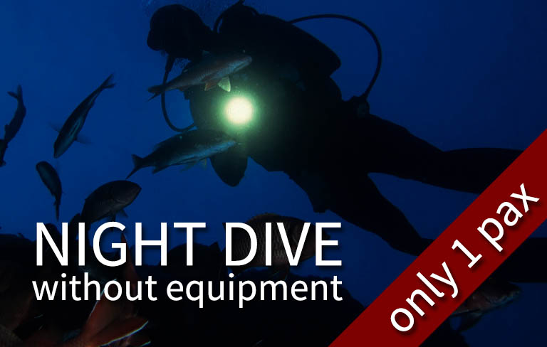 FUN DIVE-WE - 1 Night fun dive (1 pax only) (with your own equipment)