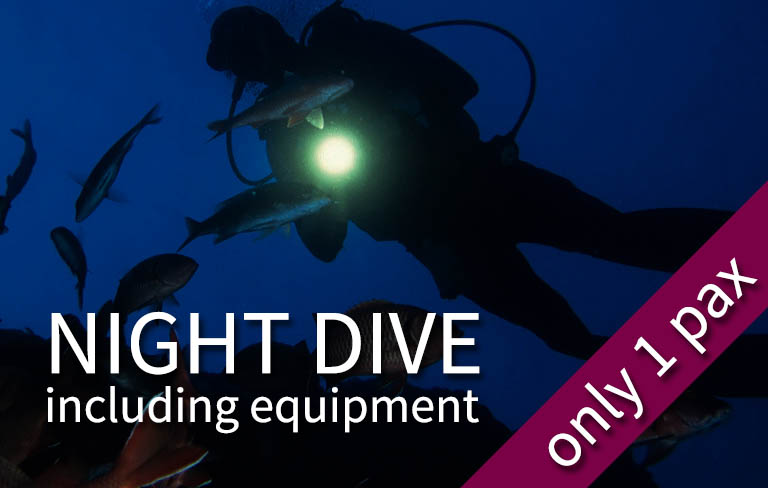 FUN DIVE - 1 Night fun dive (1 pax only)