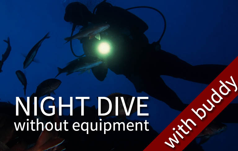 FUN DIVE-WE - 1 Night fun dive (>1 pax) (with your own equipment)