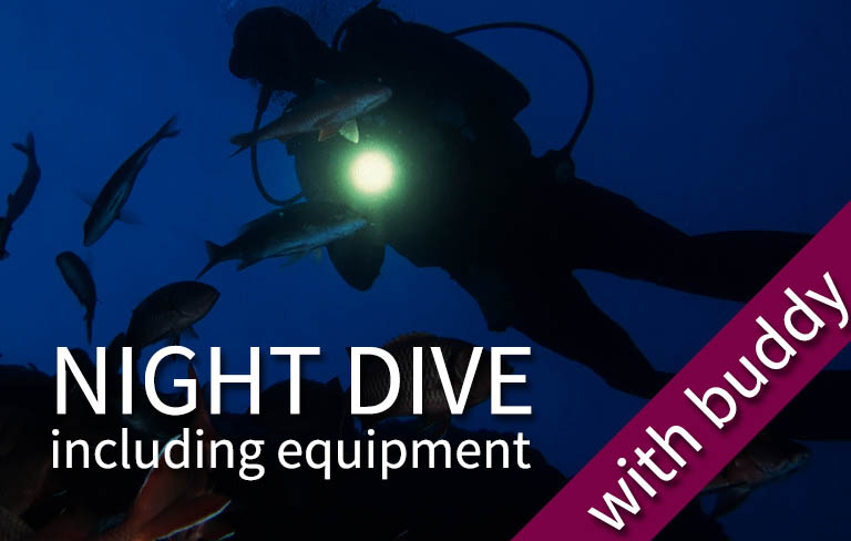 FUN DIVE - 1 Night fun dive (>1 pax)