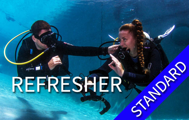 REFRESHER - Refresher - Standard (practice in shallow water + 1 shore dive)