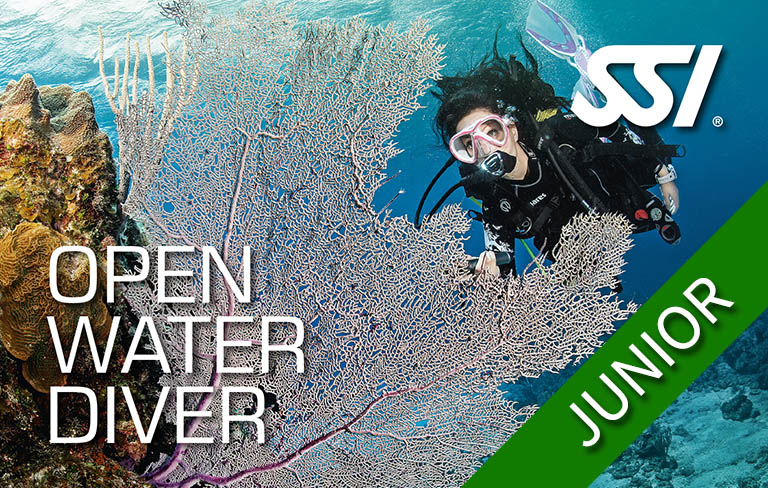 SSI OWD - SSI JUNIOR Open Water - With guardian (6 confined water + 2 shore and 2 boat dives)