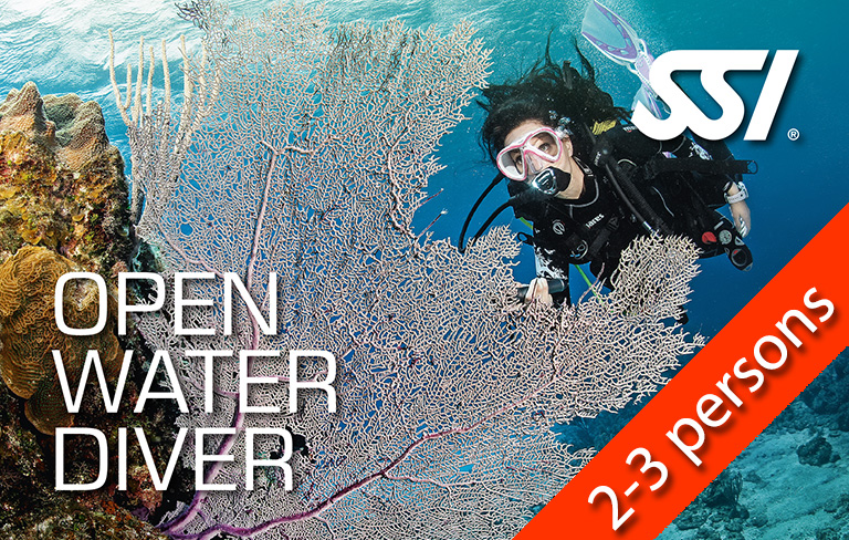 SSI OWD - SSI Open Water - Standard - DISCOUNT - From 2 to 3 participants