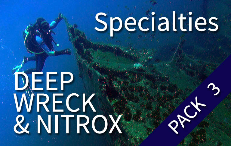 SSI PACK - SSI Pack Deep + Wreck Specialties + Nitrox (1 shore dive + 3 boat dives)