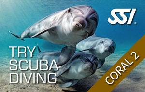 TRY DIVE - Try Scuba-Diving - Premium (2 boat dives)