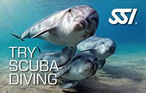 TRY DIVE - Try Scuba-Diving - Standard (1 boat dive local site)