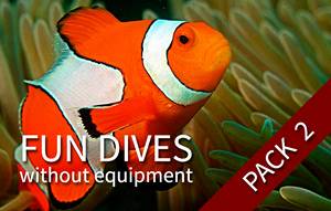 2 fun dives (with your own equipment)