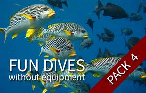 4 fun dives (with your own equipment)