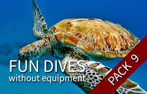 9 fun dives (with your own equipment)