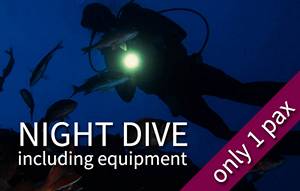 1 Night fun dive (1 pax only)