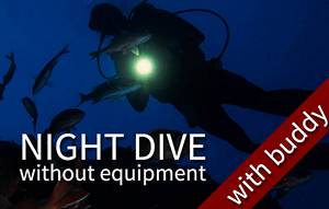 FUN DIVE-WE - 1  plongée de nuit (plus d’une personne) (avec votre équipement)