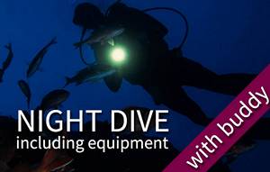 1 Night fun dive (>1 pax)