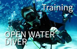Open Water - Standard (5 confined water + 2 shore and 2 boat dives)