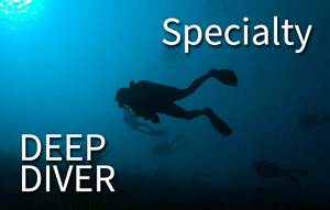 Specialty - Deep dive (4 boat dives)