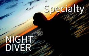Specialty - Night dive (3 shore dives)