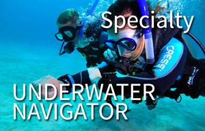 Specialty - Navigation (2 shore dives)