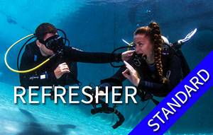 Refresher - Standard (practice in shallow water + 1 shore dive)