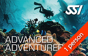 SSI Advanced Adventurer - Standard (2 boat dives + 3 shore dives)