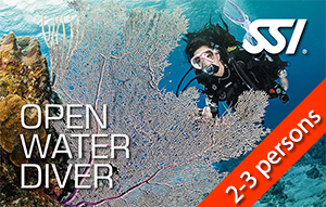 SSI Open Water - Standard - DISCOUNT - From 2 to 3 participants