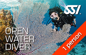 SSI OWD - SSI Open Water - Standard (6 plongées protégées + 2 plongées du rivage et 2 plongées en bateau)