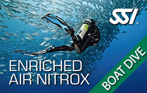 SSI Specialty - Enriched Air Nitrox (1 boat dive)