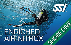 SSI Specialty - Enriched Air Nitrox (1 shore dive)